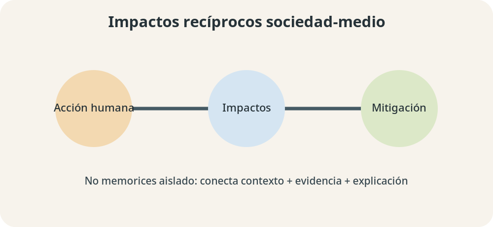 Apoyo visual de la lección