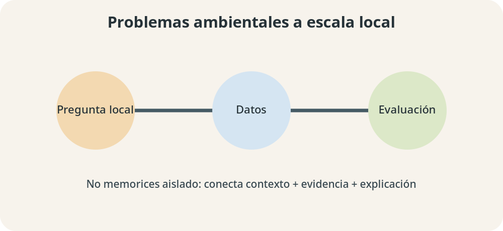 Apoyo visual de la lección