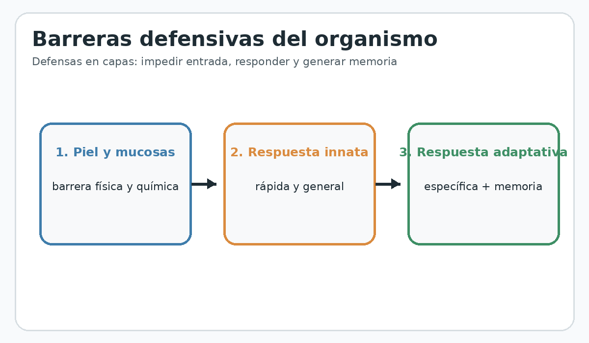 Apoyo visual de la lección
