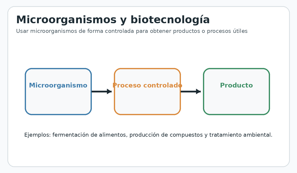 Apoyo visual de la lección