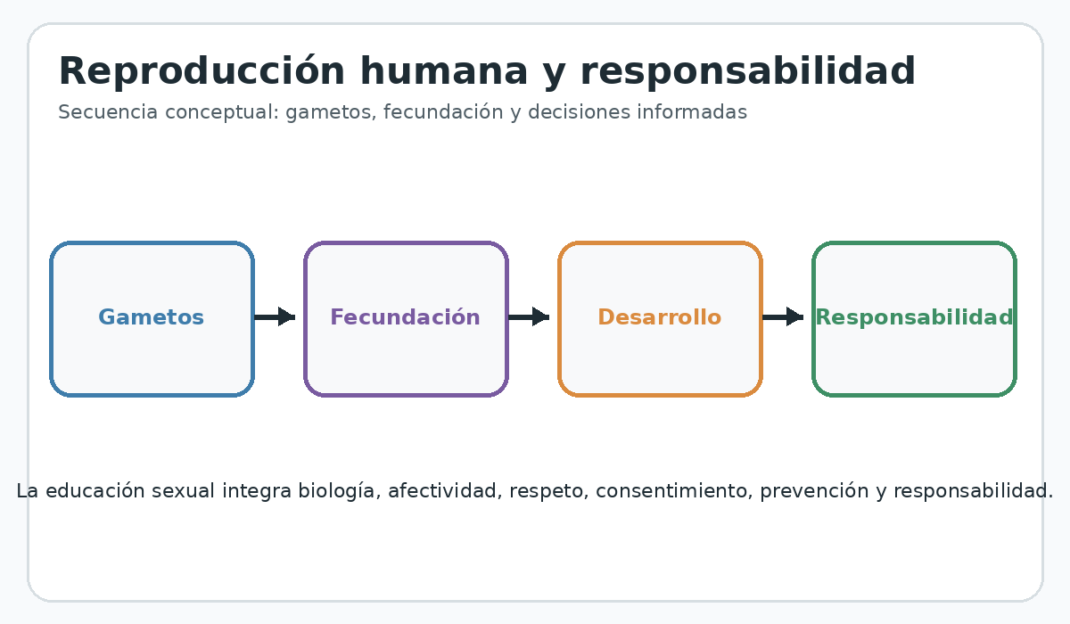 Apoyo visual de la lección