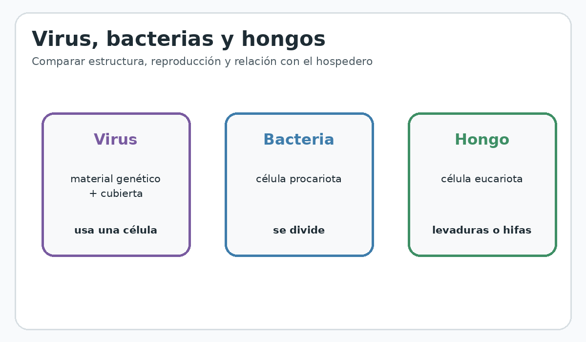 Apoyo visual de la lección