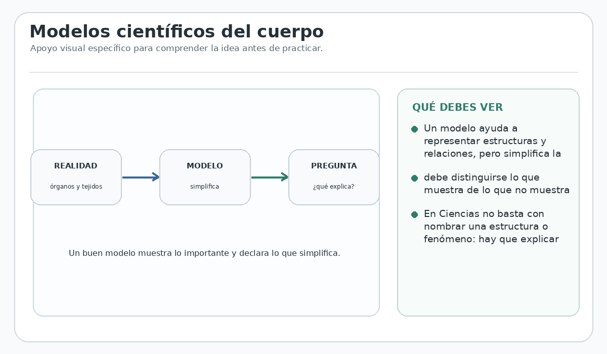 Apoyo visual de la lección