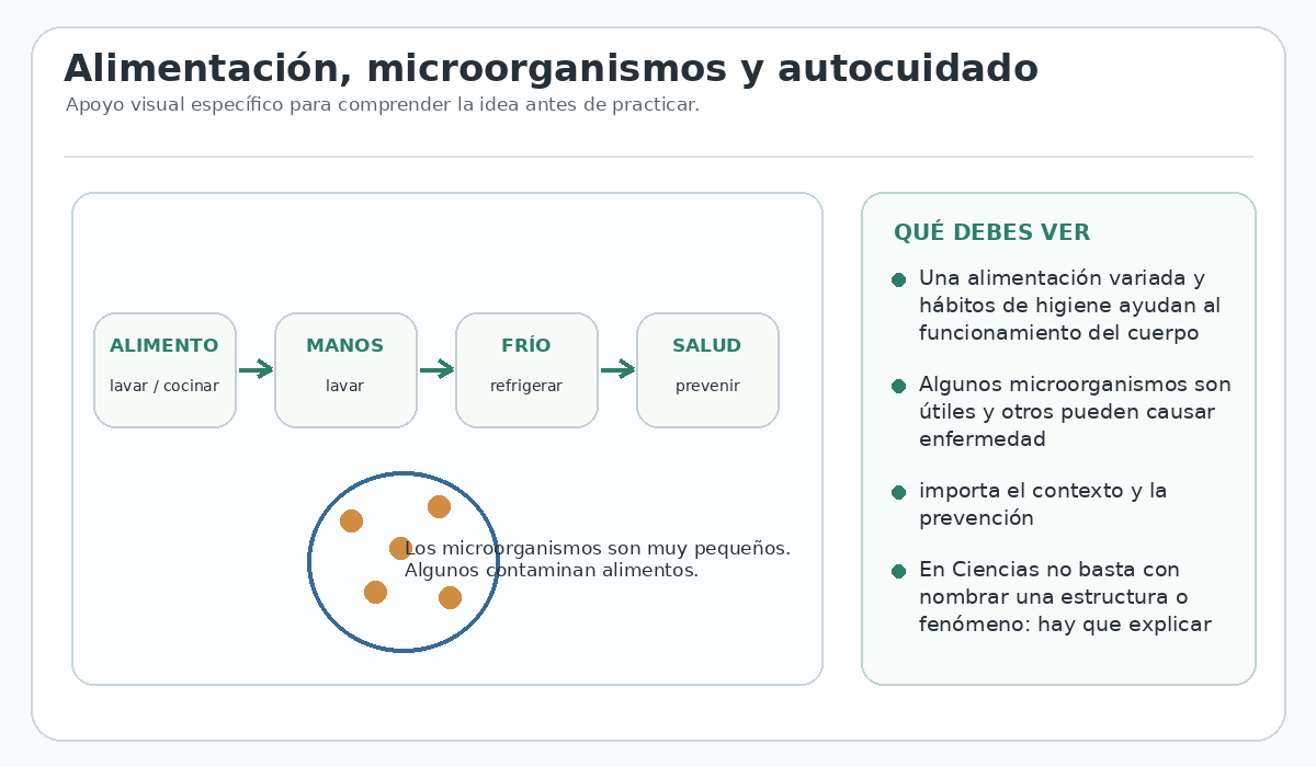Apoyo visual de la lección