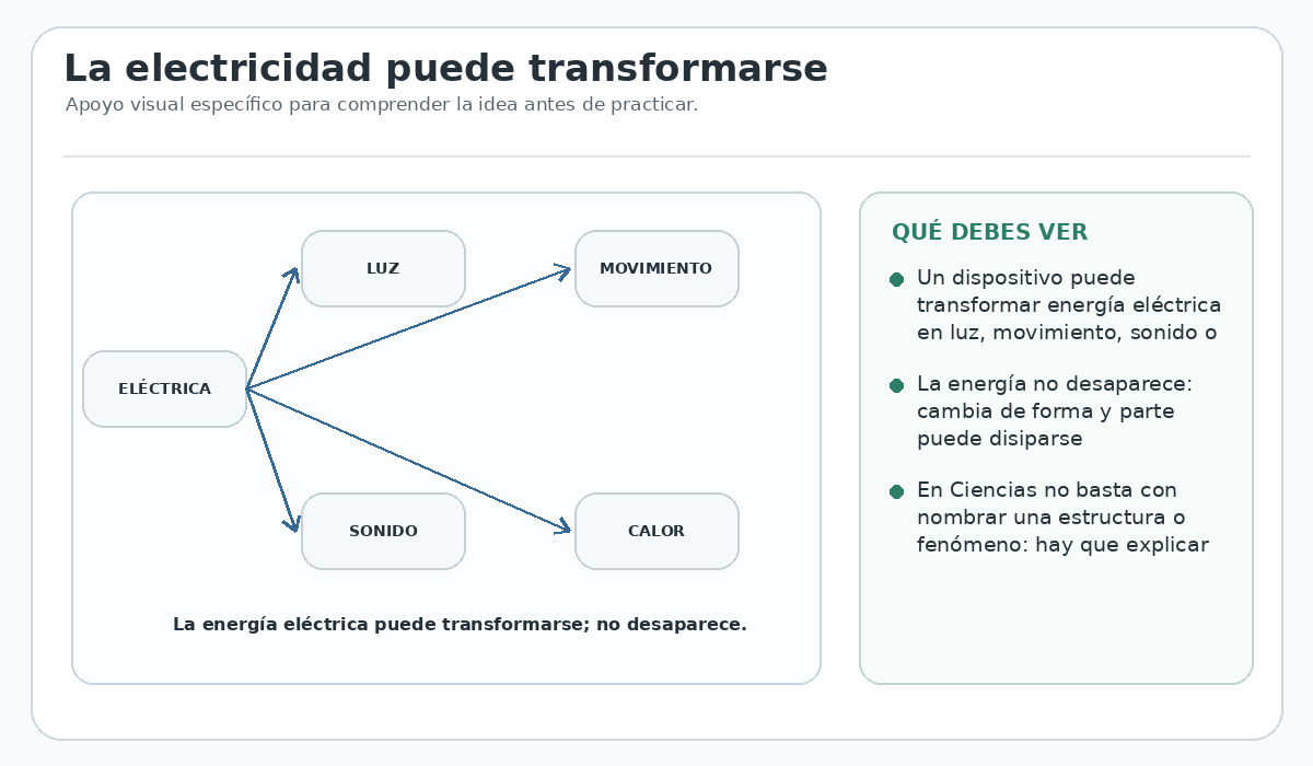 Apoyo visual de la lección