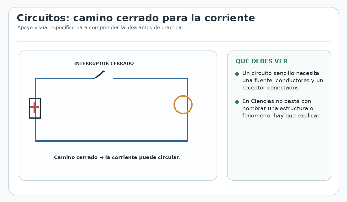 Apoyo visual de la lección