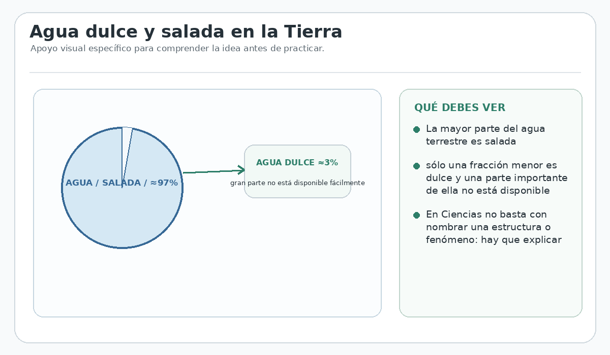 Apoyo visual de la lección