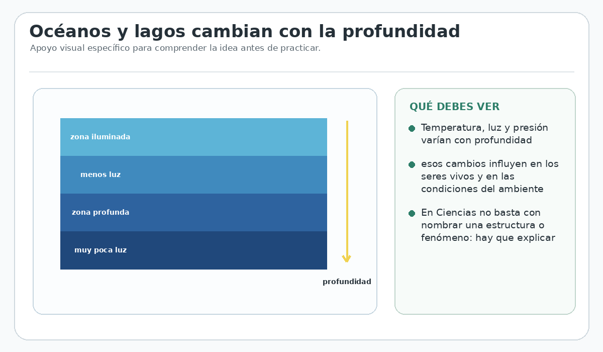 Apoyo visual de la lección