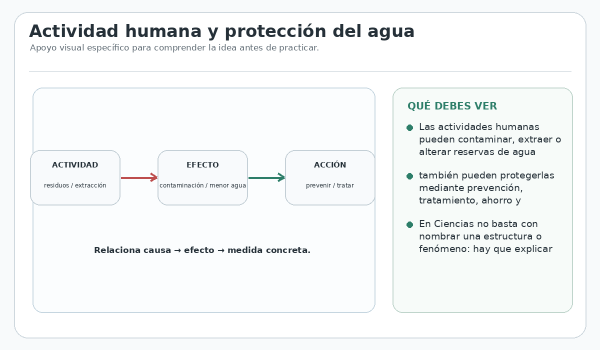 Apoyo visual de la lección