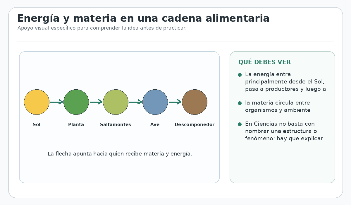 Apoyo visual de la lección