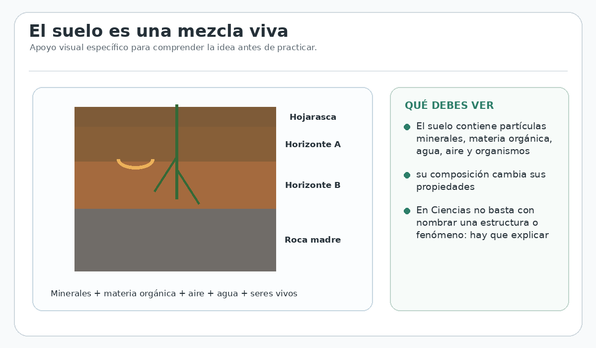 Apoyo visual de la lección