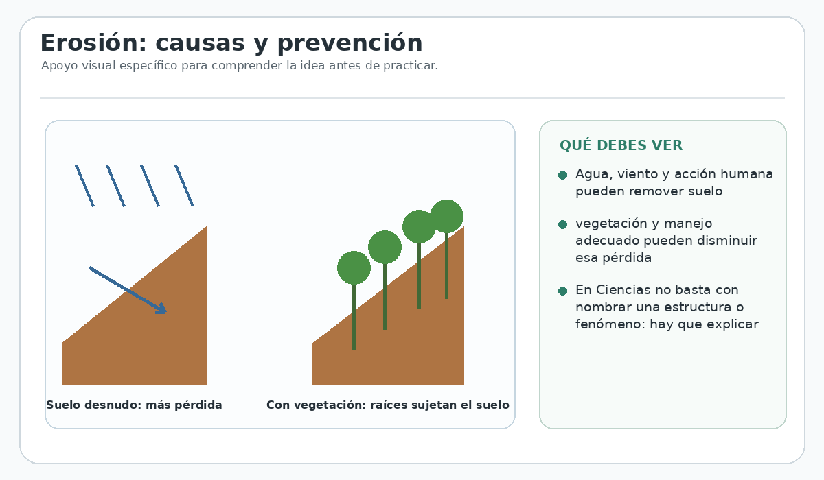 Apoyo visual de la lección