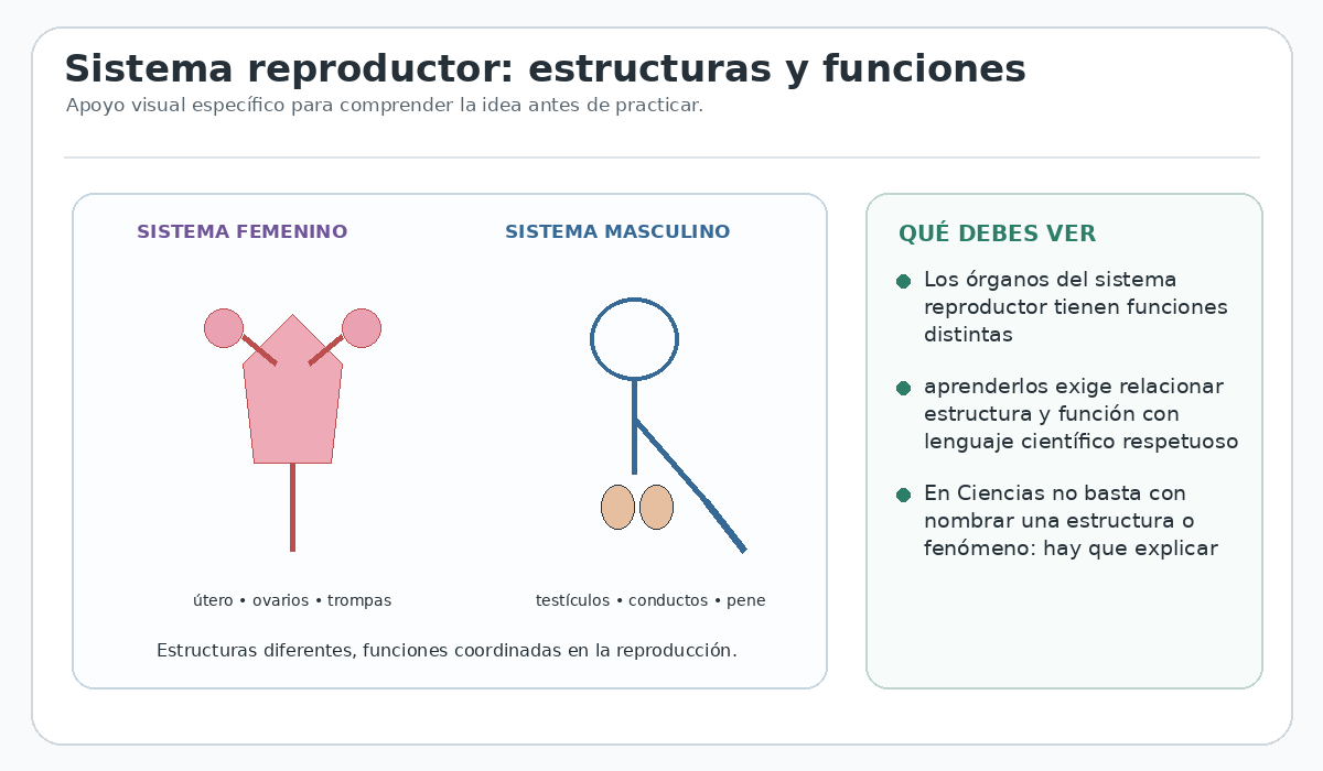 Apoyo visual de la lección
