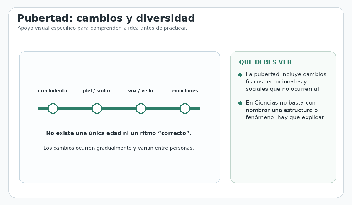 Apoyo visual de la lección