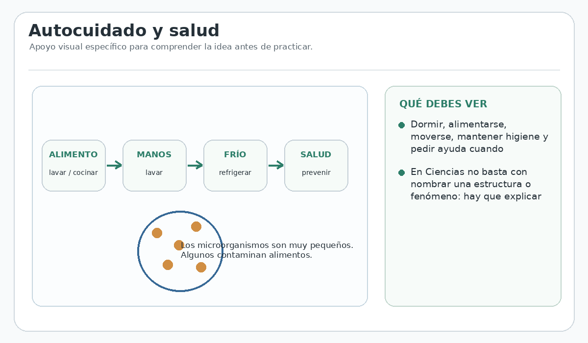 Apoyo visual de la lección