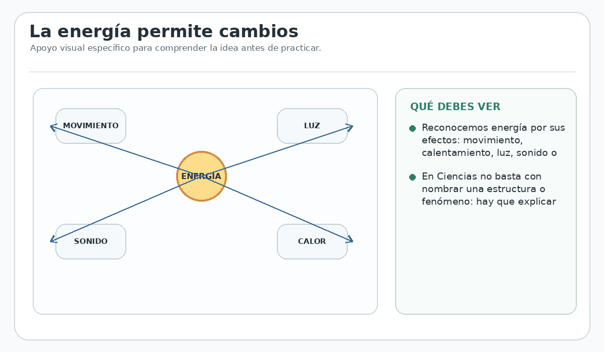 Apoyo visual de la lección