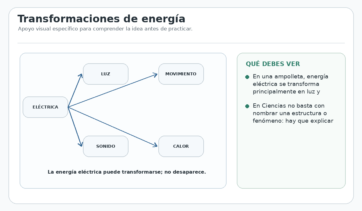 Apoyo visual de la lección