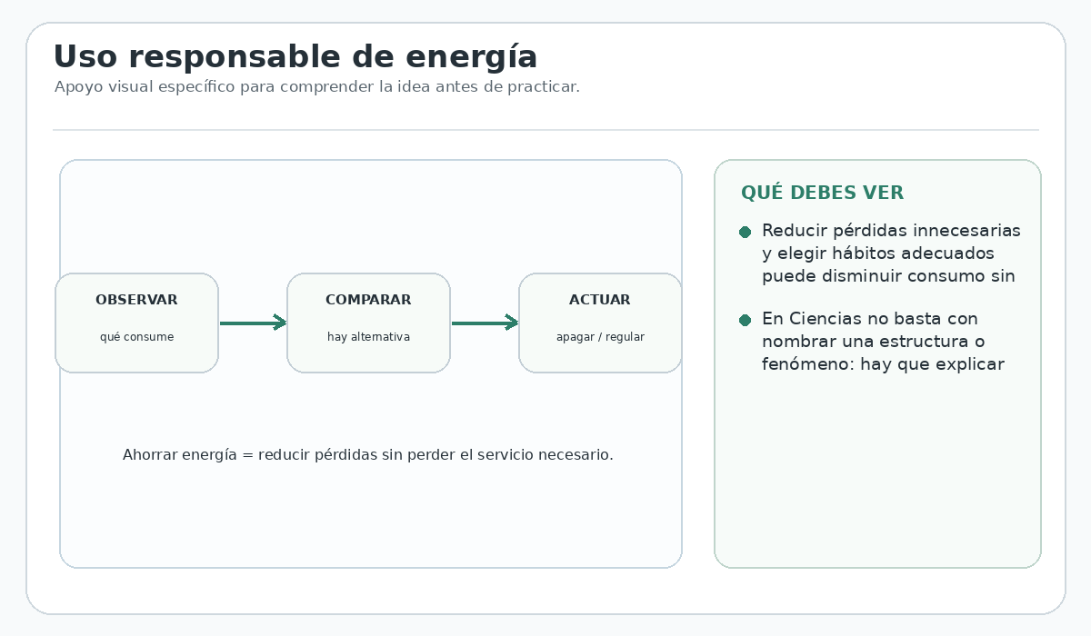 Apoyo visual de la lección