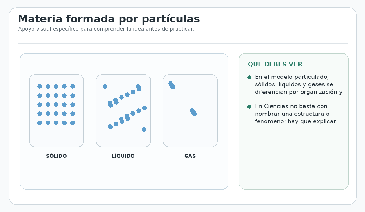 Apoyo visual de la lección