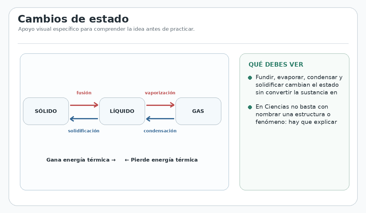 Apoyo visual de la lección