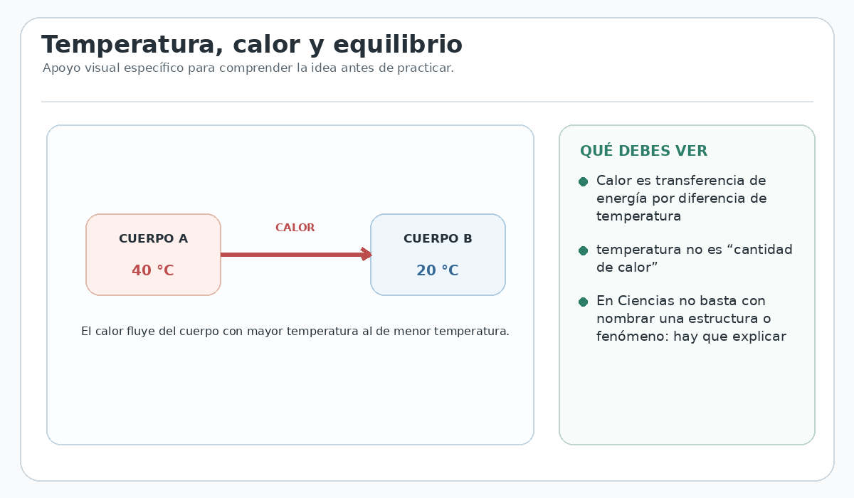 Apoyo visual de la lección